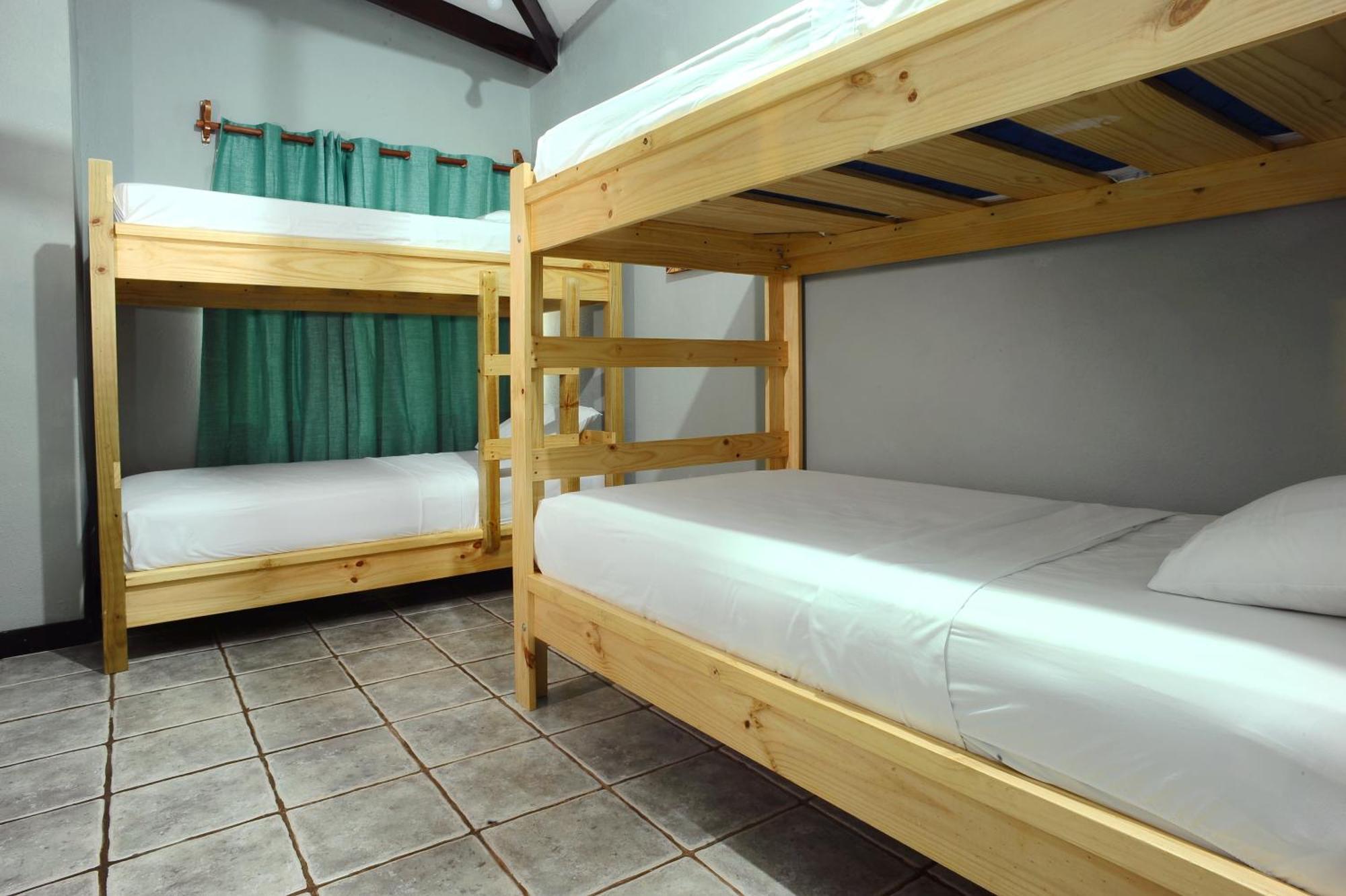 Wide Mouth Frog Quepos Hostel Manuel Antonio Luaran gambar