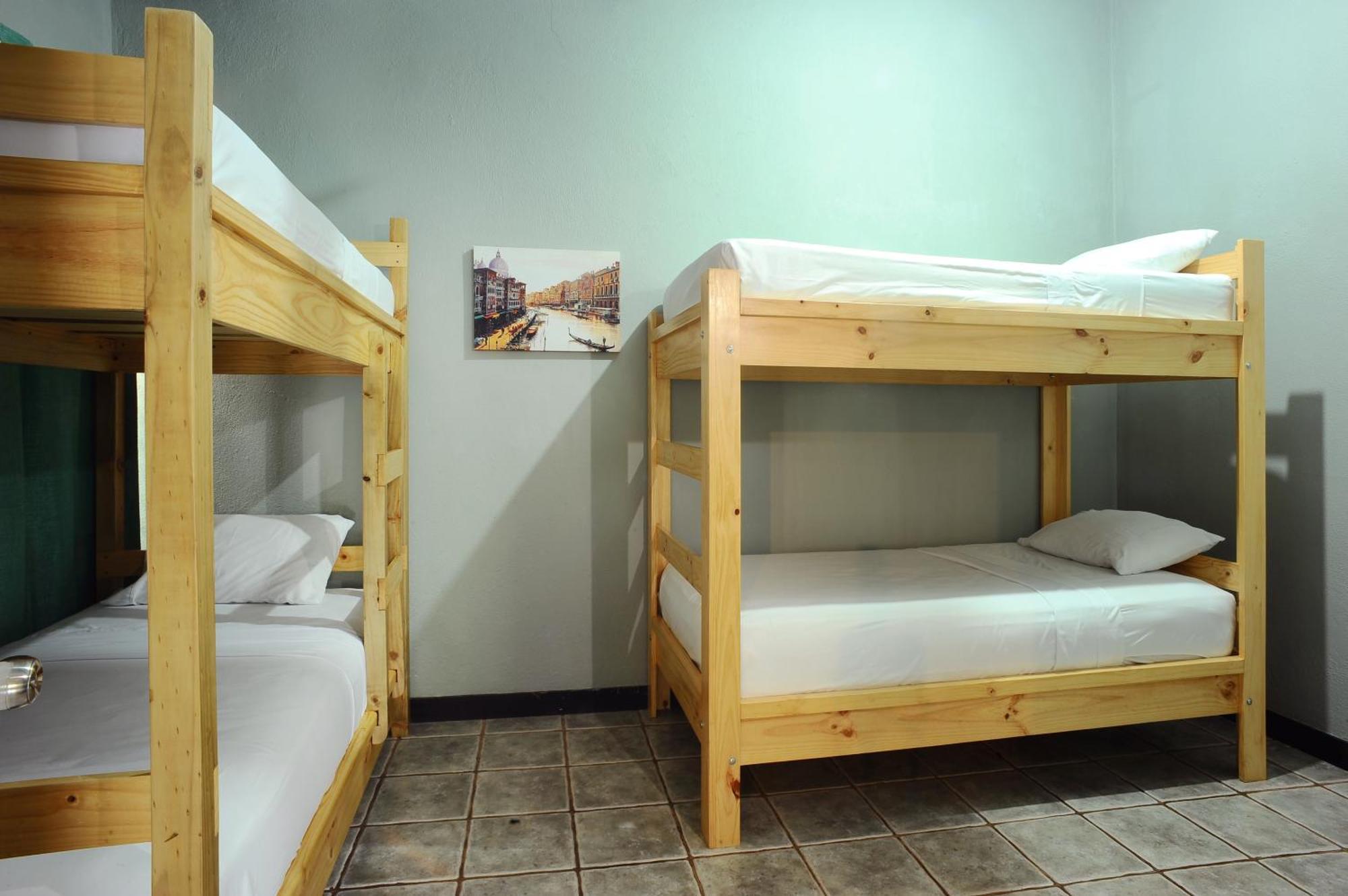 Wide Mouth Frog Quepos Hostel Manuel Antonio Luaran gambar