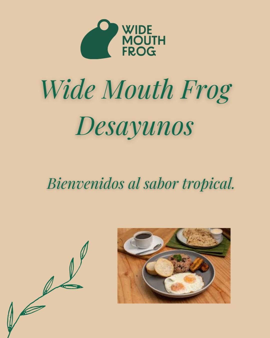 Wide Mouth Frog Quepos Hostel Manuel Antonio Luaran gambar