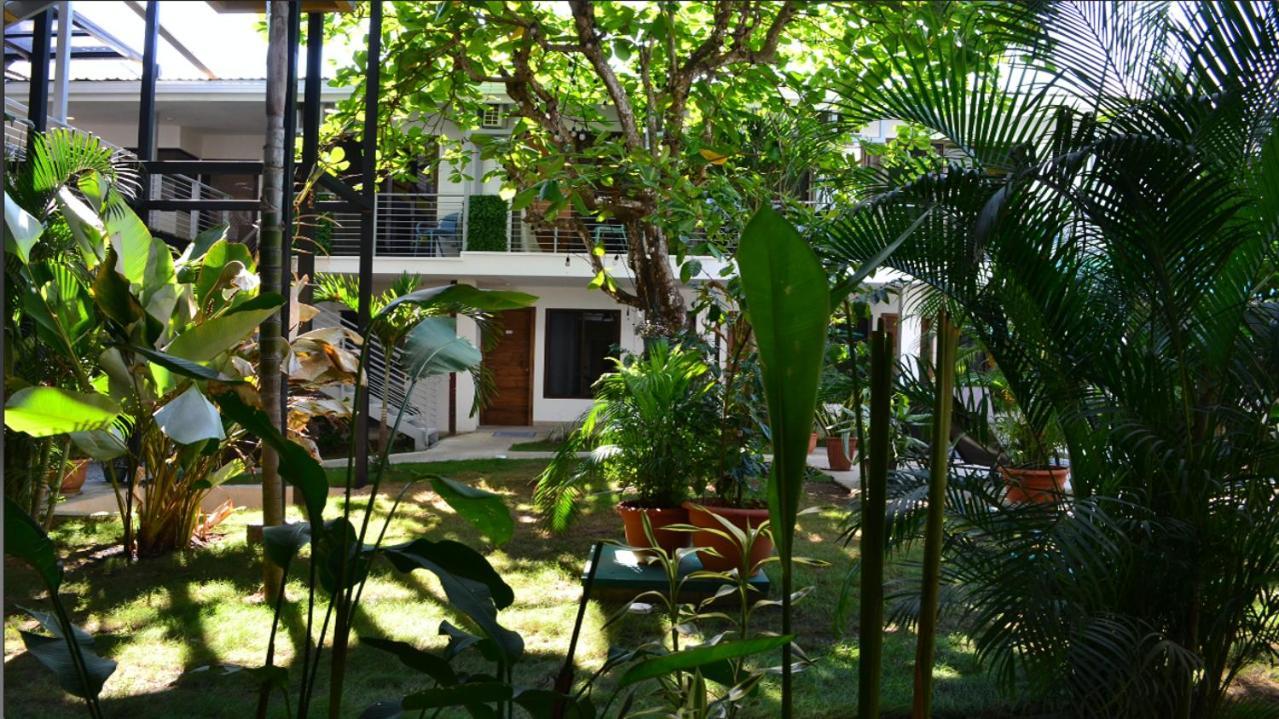 Wide Mouth Frog Quepos Hostel Manuel Antonio Luaran gambar