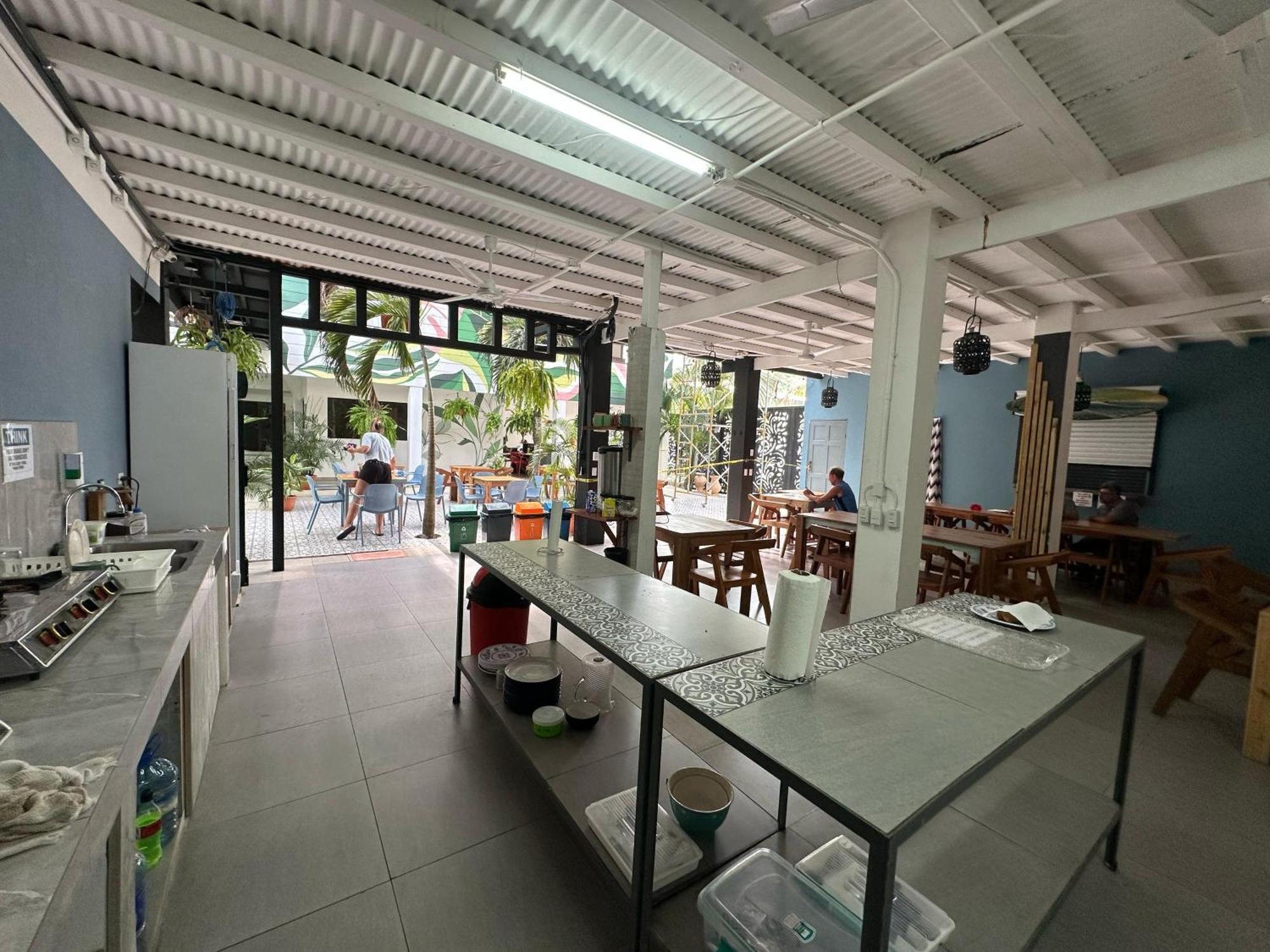 Wide Mouth Frog Quepos Hostel Manuel Antonio Luaran gambar