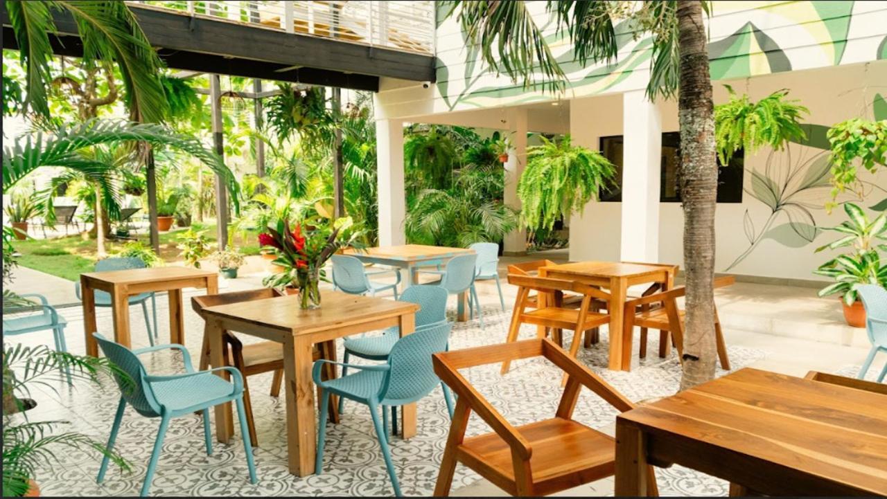 Wide Mouth Frog Quepos Hostel Manuel Antonio Luaran gambar