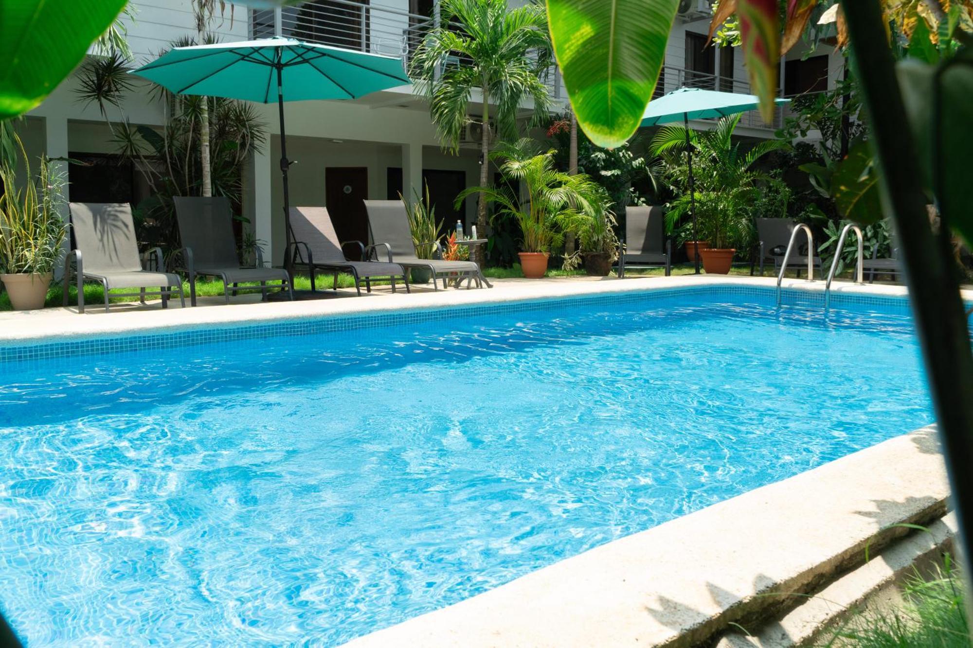 Wide Mouth Frog Quepos Hostel Manuel Antonio Luaran gambar