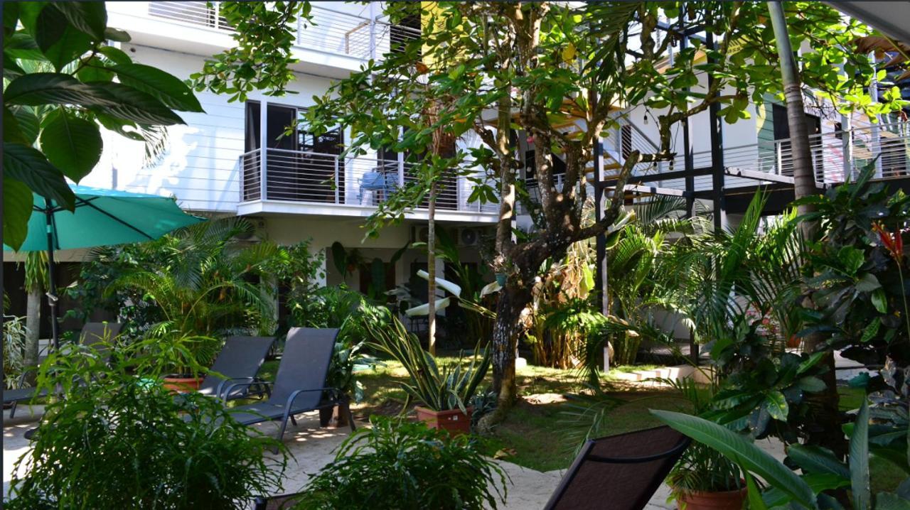 Wide Mouth Frog Quepos Hostel Manuel Antonio Luaran gambar