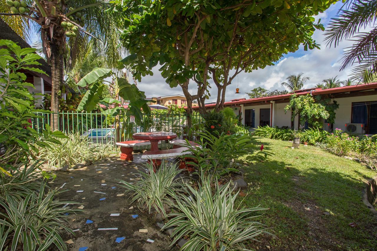 Wide Mouth Frog Quepos Hostel Manuel Antonio Luaran gambar